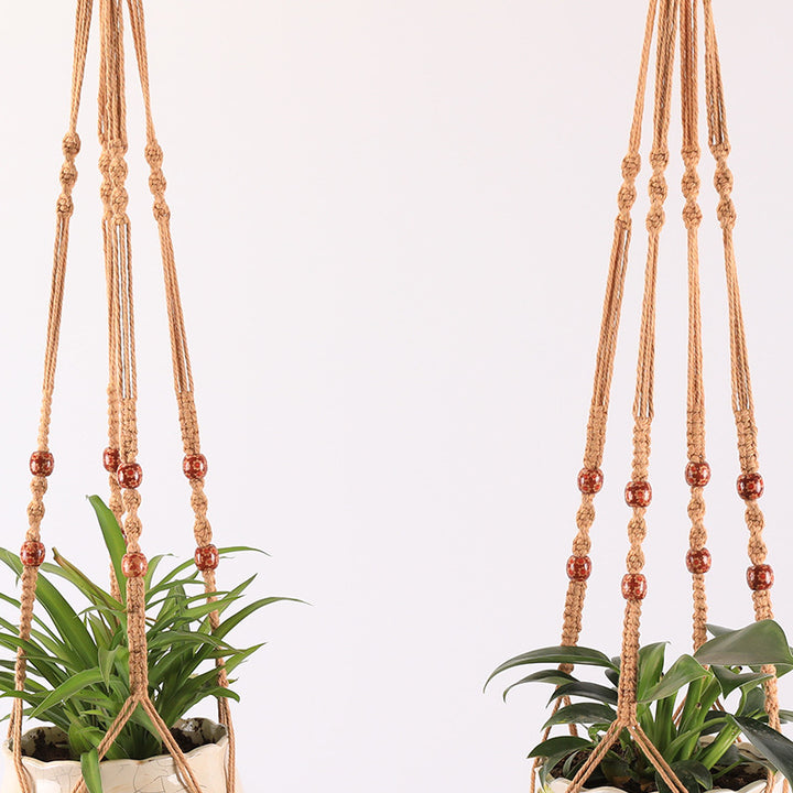 Plant Hanging Hanger Bowlift