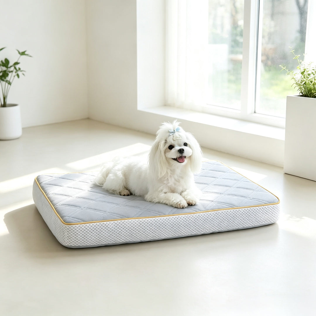 Quilted Comfort Orthopedic dog Mattress