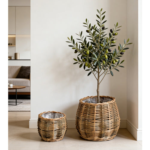 High-quality plant basket made of natural willow Bowlift