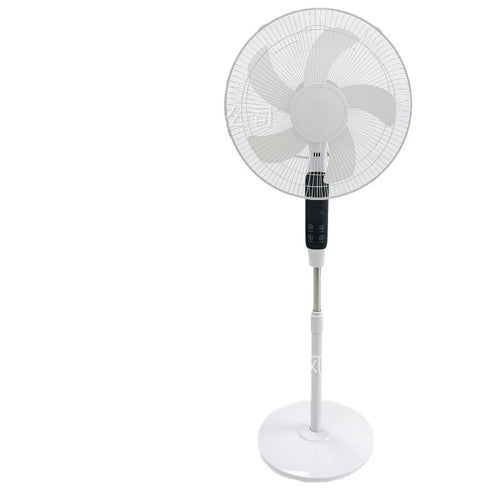 Ladies Stand Fan Bowlift