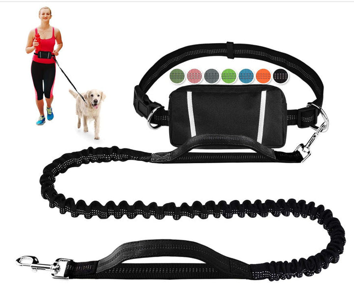 FlowLeash — Experience gentle control and relaxed walks without jerks! | Bowlift