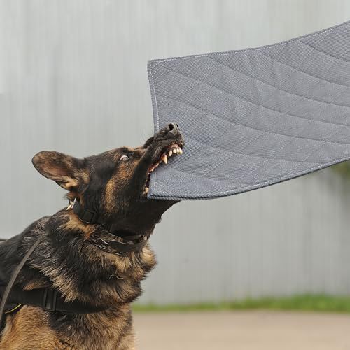 Durable  Training Mat   Dog Bed