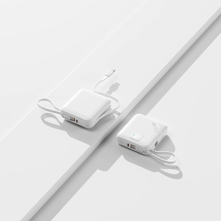 Portable power bank with integrated fast charging ports and digital battery level display Bowlift