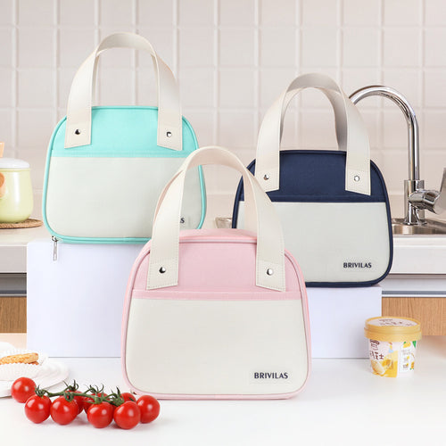 Stylish Insulated Food Carrier