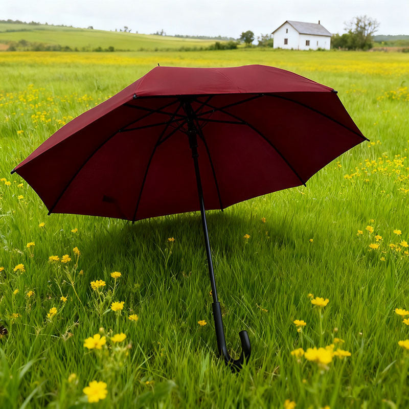 Ladies Umbrella Bowlift