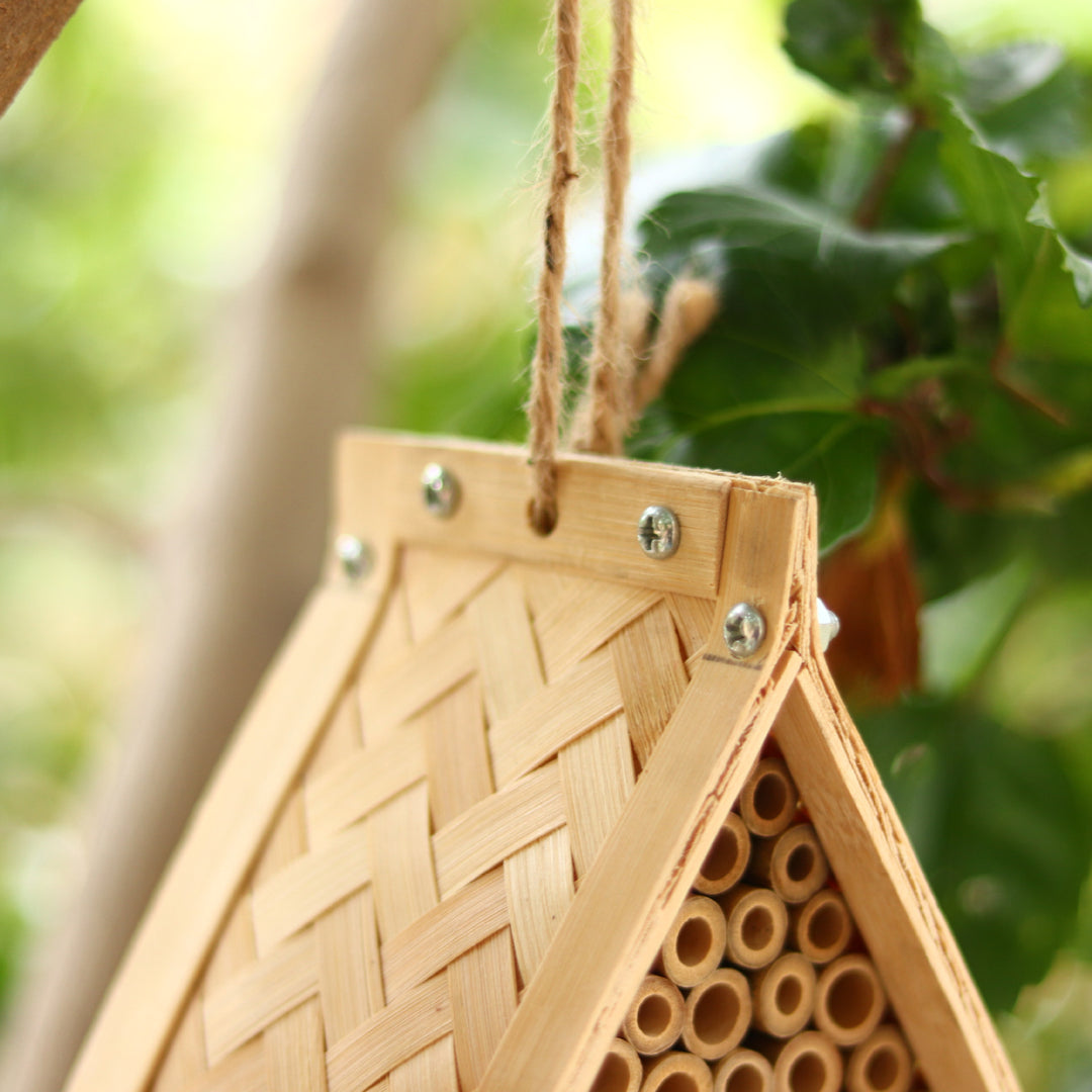 Eco-Friendly Insect Habitat Bowlift