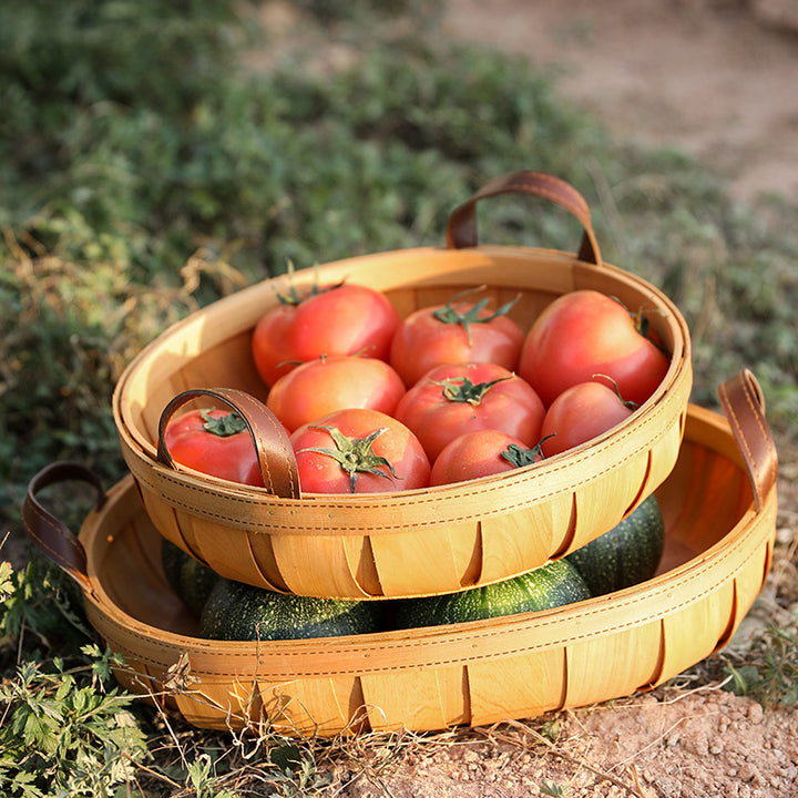 Handcrafted Oval Serving Tray with Leather Handles Bowlift