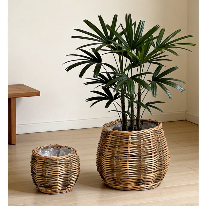 High-quality plant basket made of natural willow Bowlift