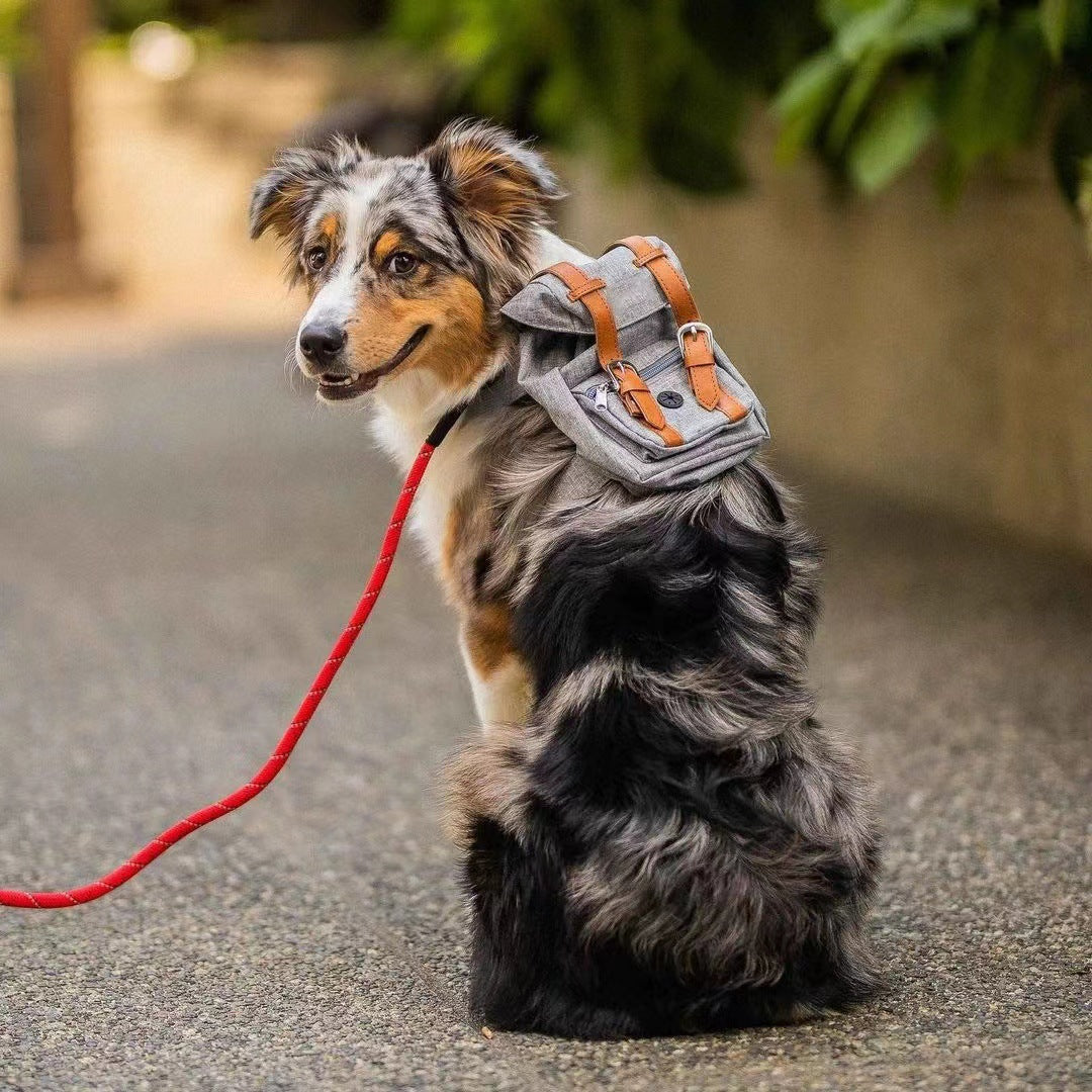 Unisex practical pet backpack with safety closure Bowlift