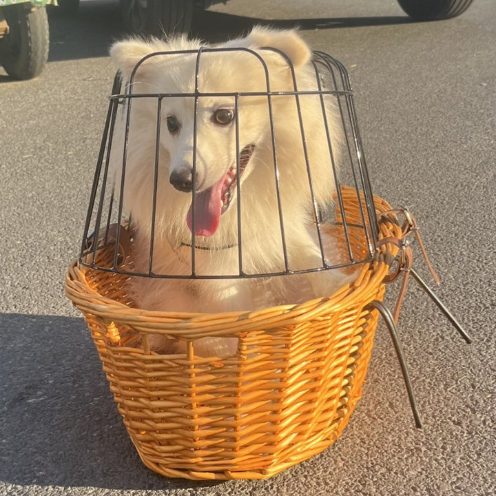 wicker bicycle pet carrier with removable washable liner and reinforced lockable metal dome Bowlift
