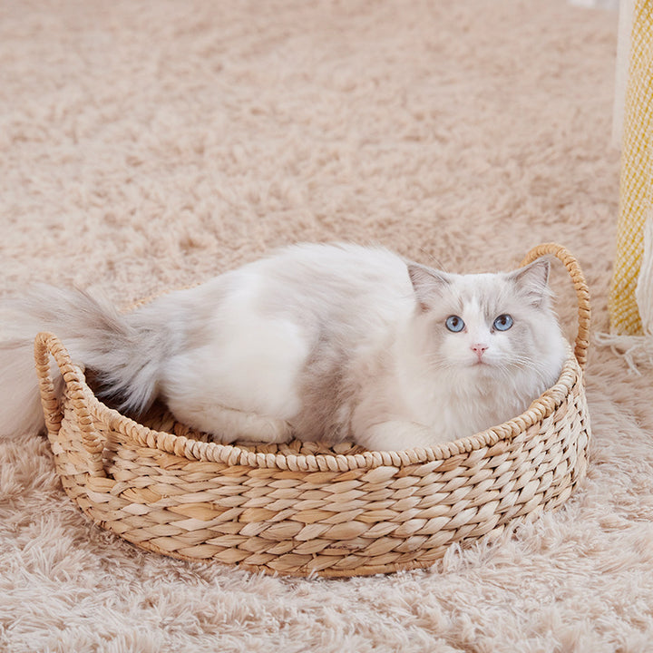 Cozy Cat Bed Bowlift