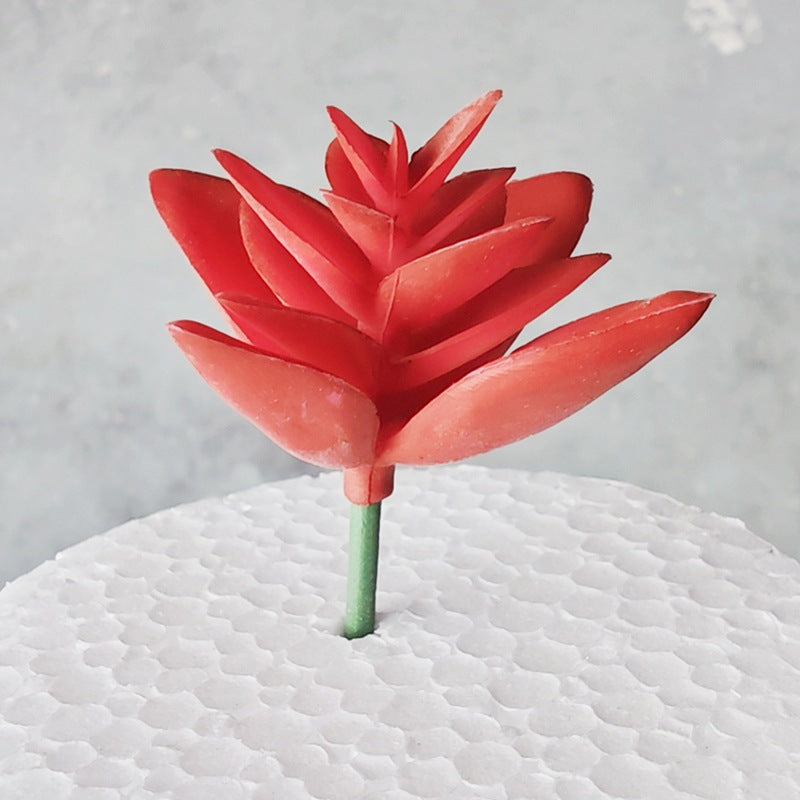 Decorative Succulent Stones Bowlift