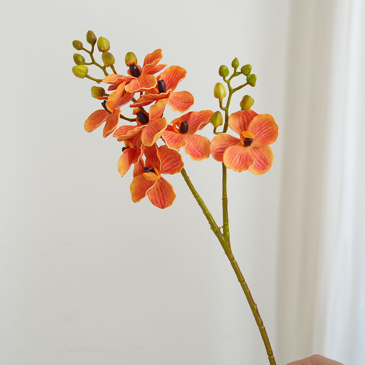 Elegant Orchid Stems Bowlift