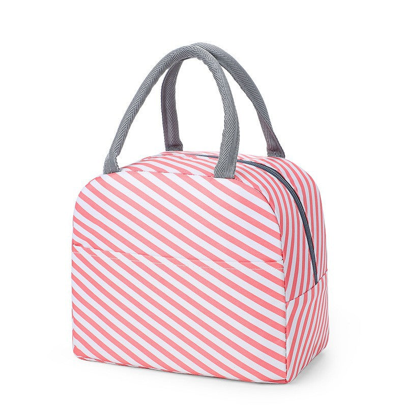 Stylish Insulated Lunch Tote Bag