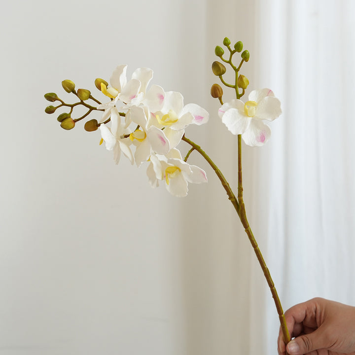 Elegant Orchid Stems Bowlift