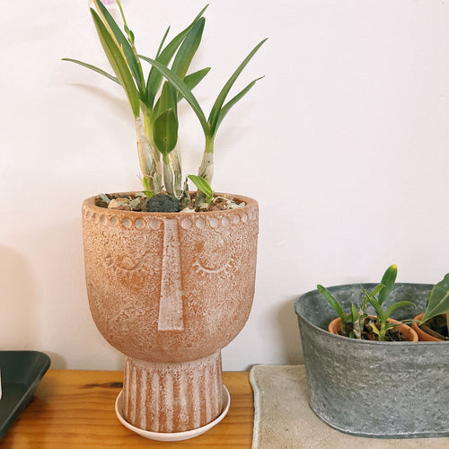 Bowlift Flower Pot