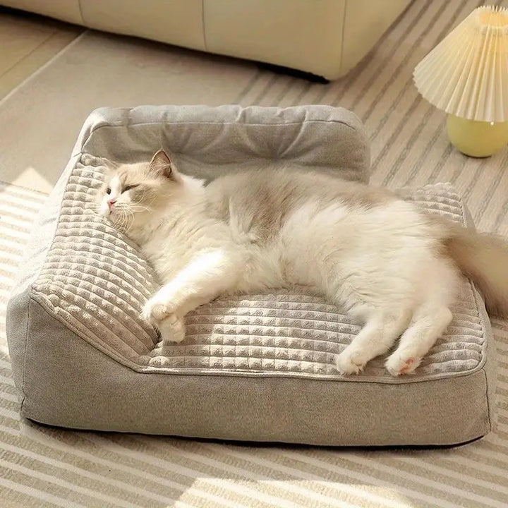 Elevated Orthopedic  Lounge  Dog Bed