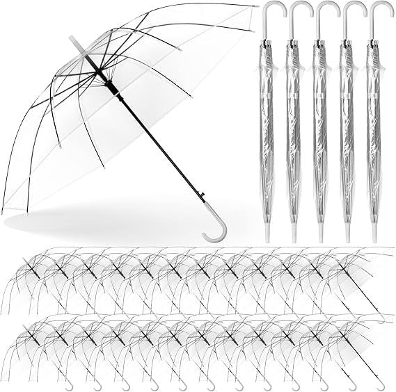 Ladies Transparent Umbrella with Elegant Design Bowlift