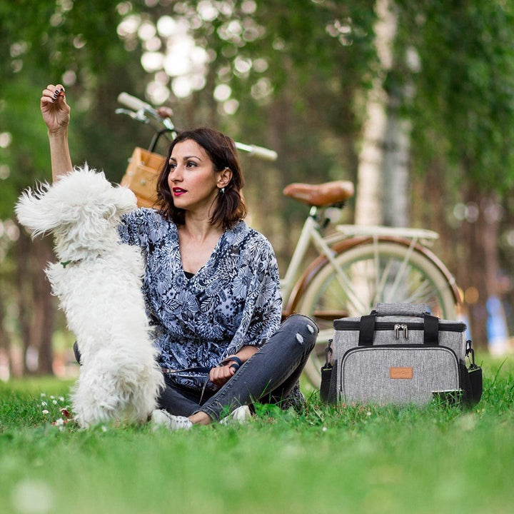 Insulated Picnic Cooler