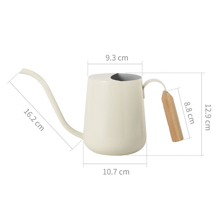 Elegant Stainless Steel Watering Can
