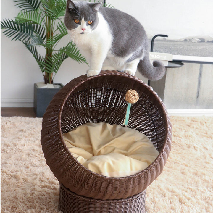 Cat bed with Modern Design Bowlift
