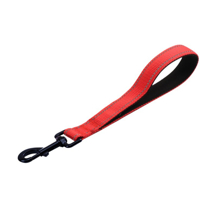 Durable Nylon Dog Leash