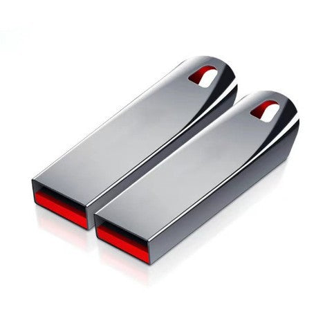 Stainless Steel Shoe Horn Bowlift