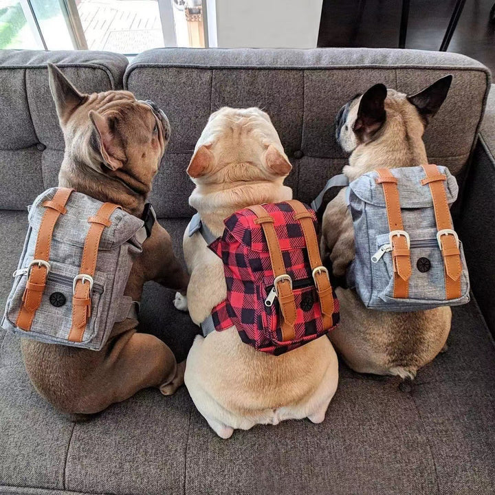 Unisex practical pet backpack with safety closure Bowlift