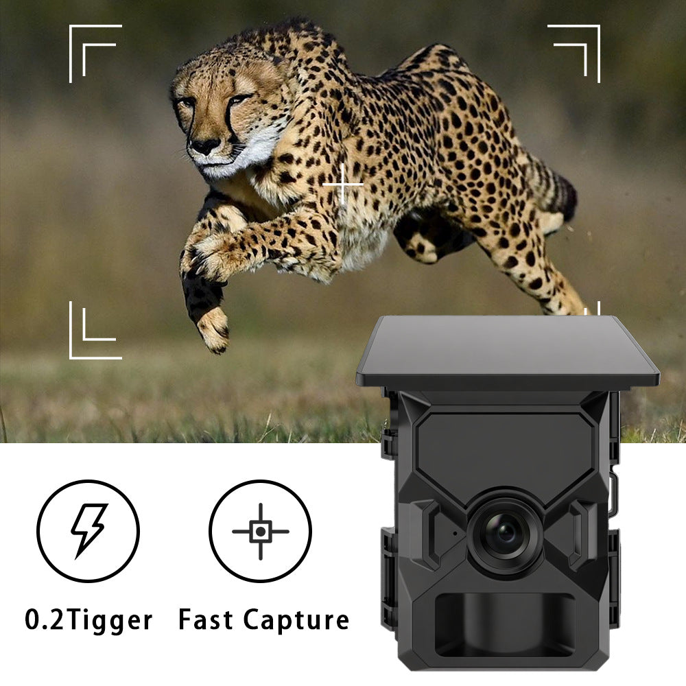 Solar Trail Camera HD Night Vision Motion Detection