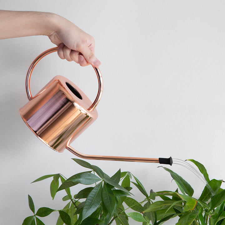 Decorative Copper Watering Can