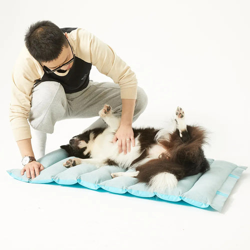 Ladies Air Bed Mattress Bowlift