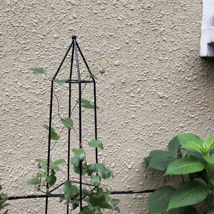 Plant Support
