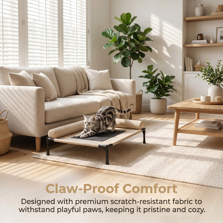 Elevated Airflow Dog Bed