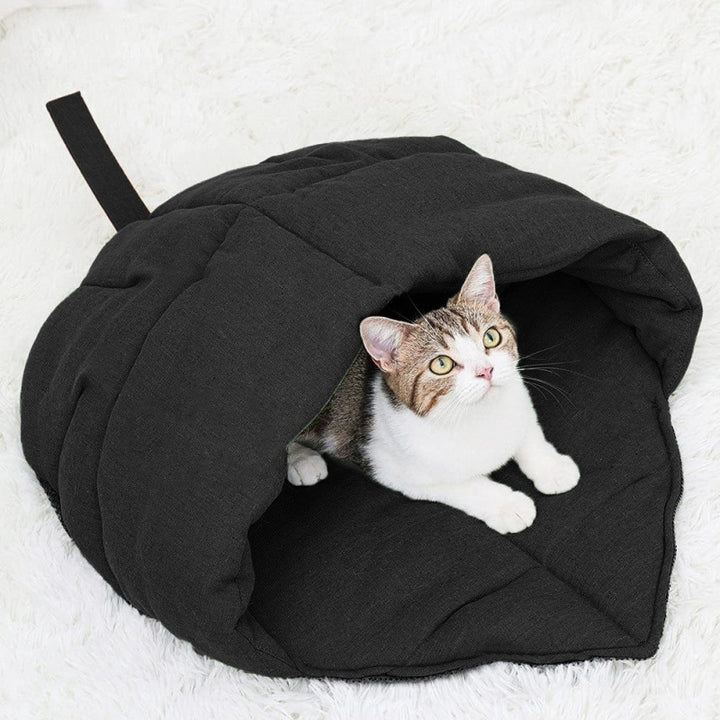 Cozy cat cave Bowlift