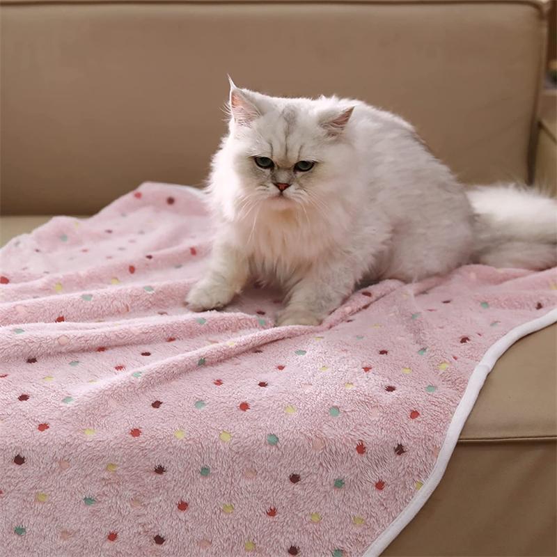 Women Cozy Polka Dot Blanket Bowlift