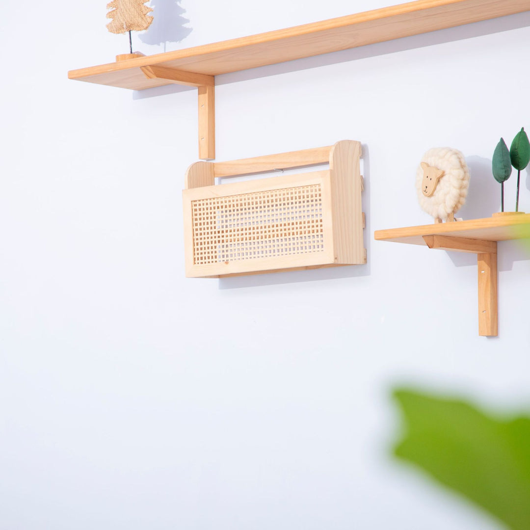 Decorative Wall Shelf Bowlift
