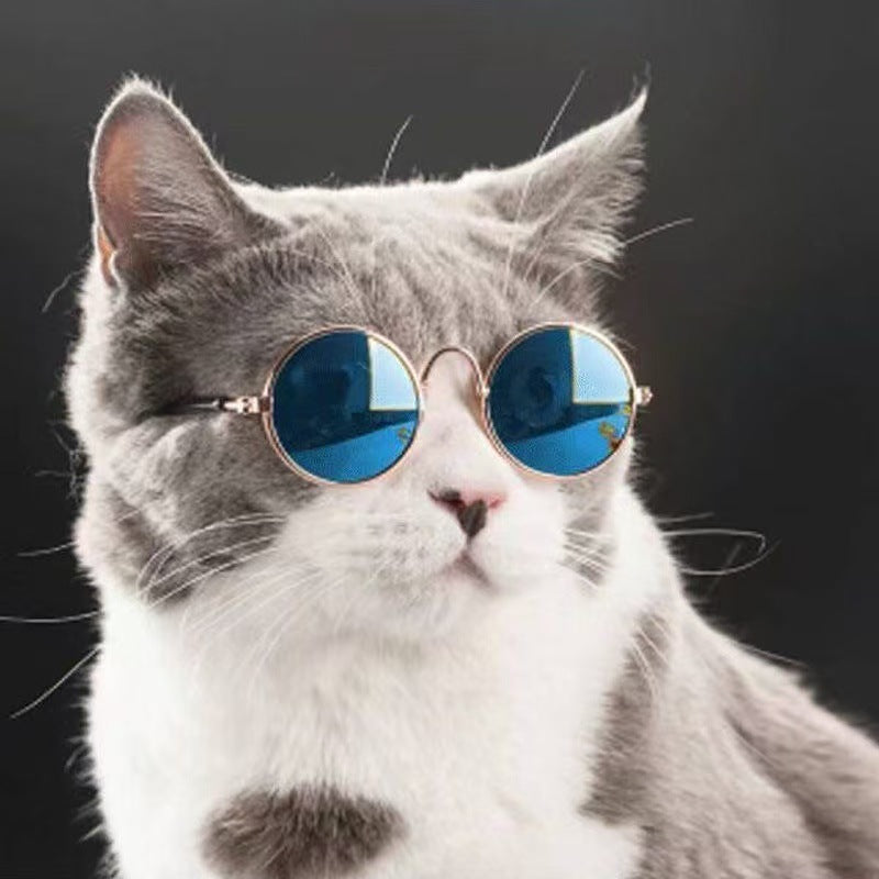 Pet Formal Button-Up Shirt with Satin Bow Tie and Cuff Sleeves Bowlift