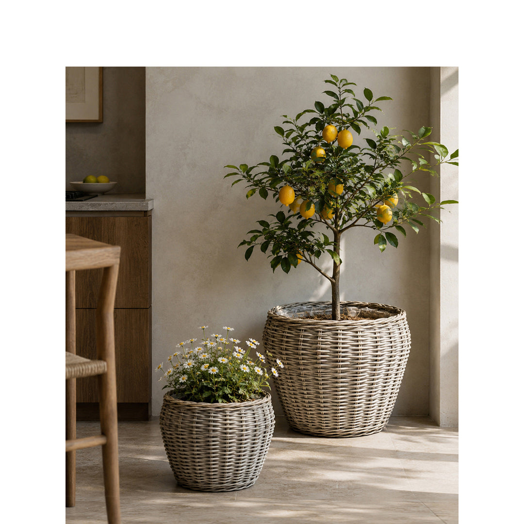 Decorative plant basket with plastic inner bag Bowlift