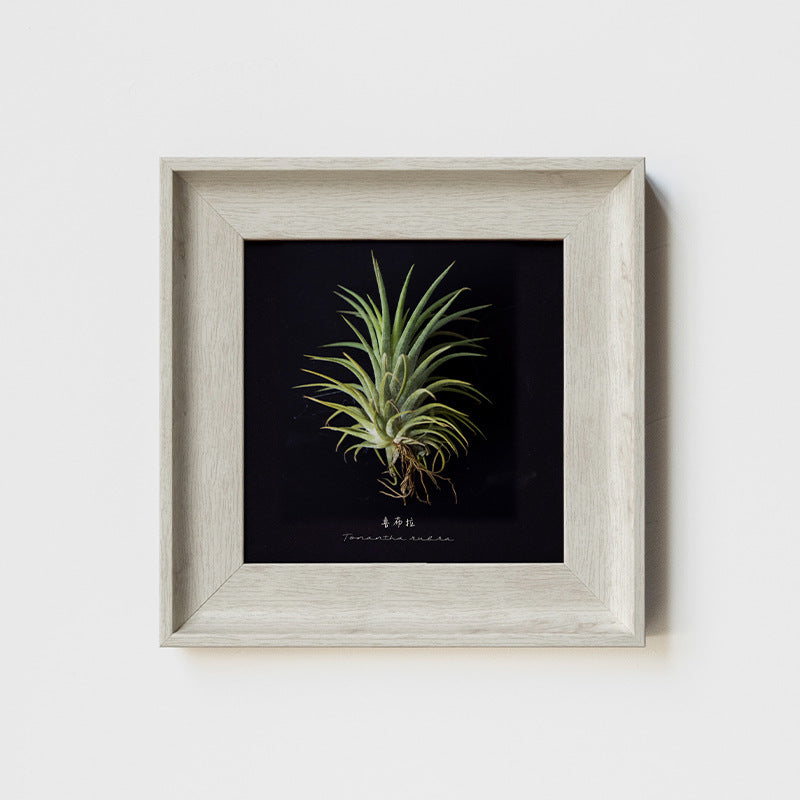 Artistic Wall Decor