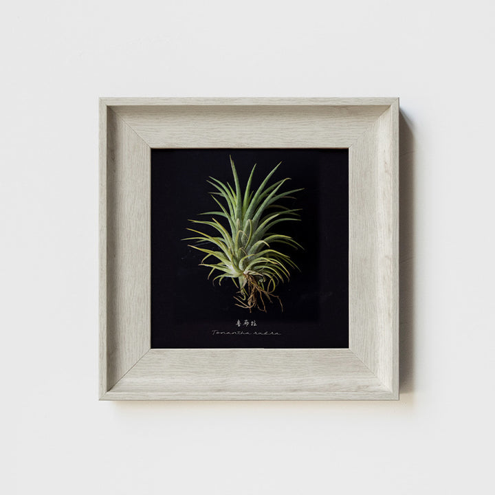 Artistic Wall Decor
