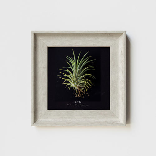 Artistic Wall Decor