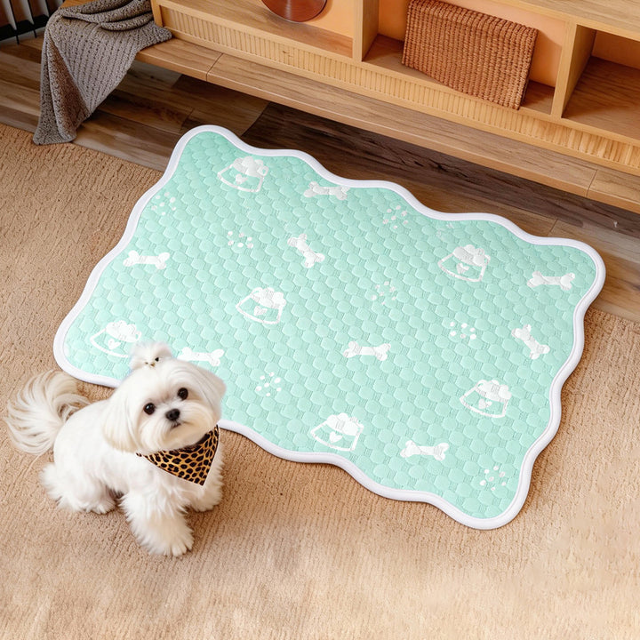 Women's Non-Slip Pet Mat with Cute Design Bowlift