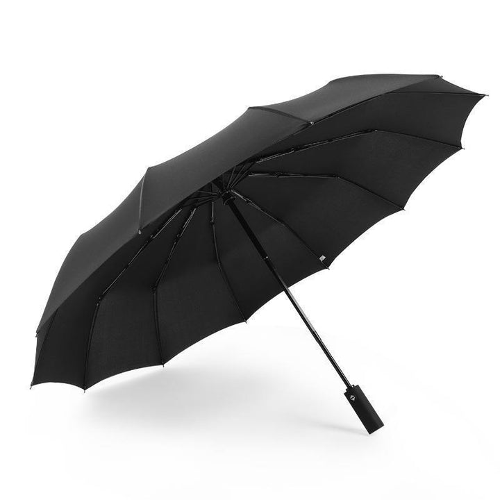 Women's stylish automatic folding umbrella with reflective safety design Bowlift