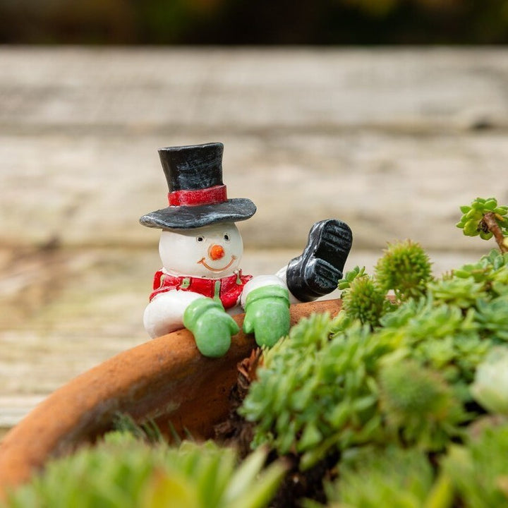 Decorative Snowman Plant Decoration Bowlift