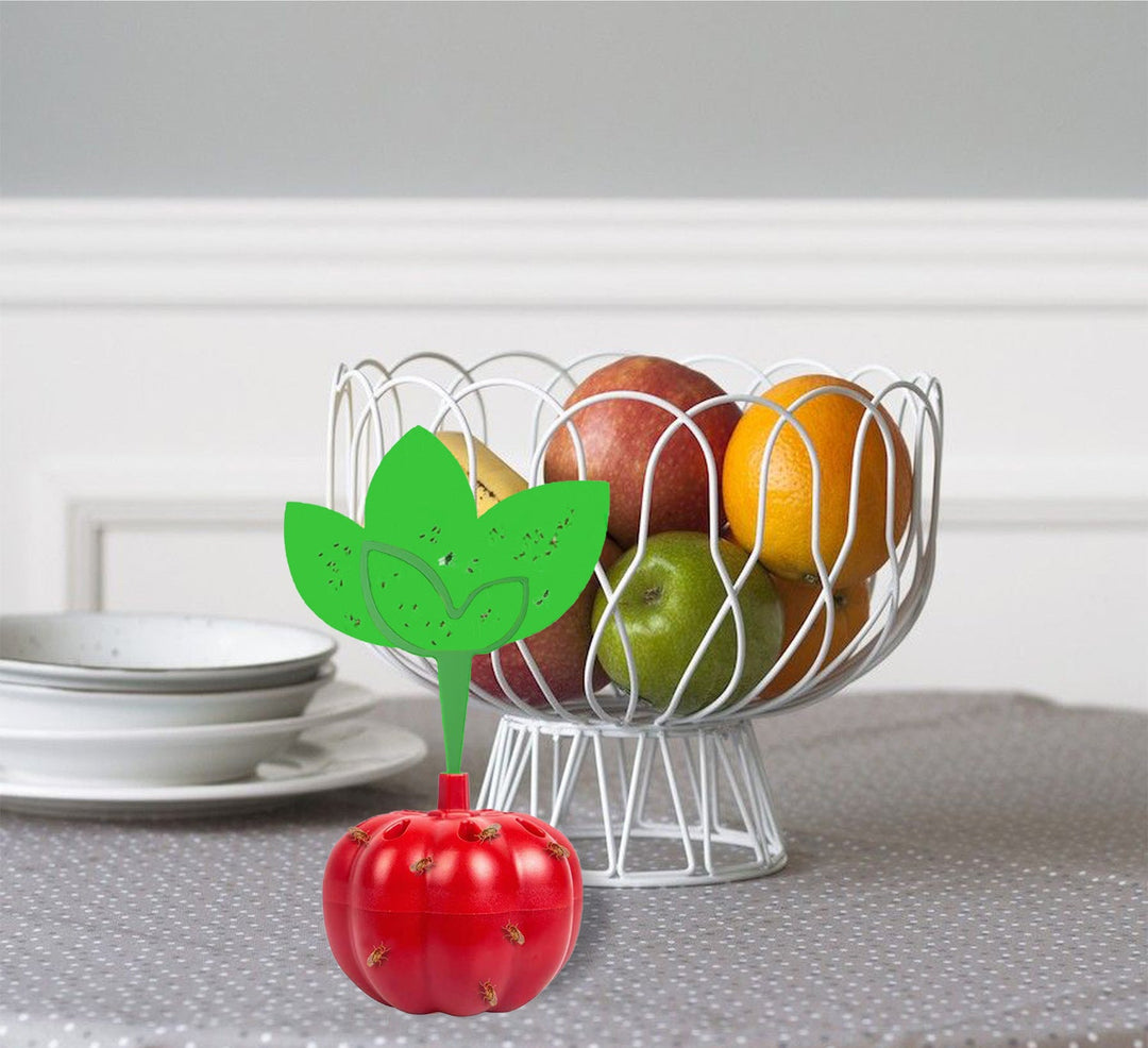 Reusable countertop fruit fly trap with tomato-shaped sticky bait reservoir Bowlift