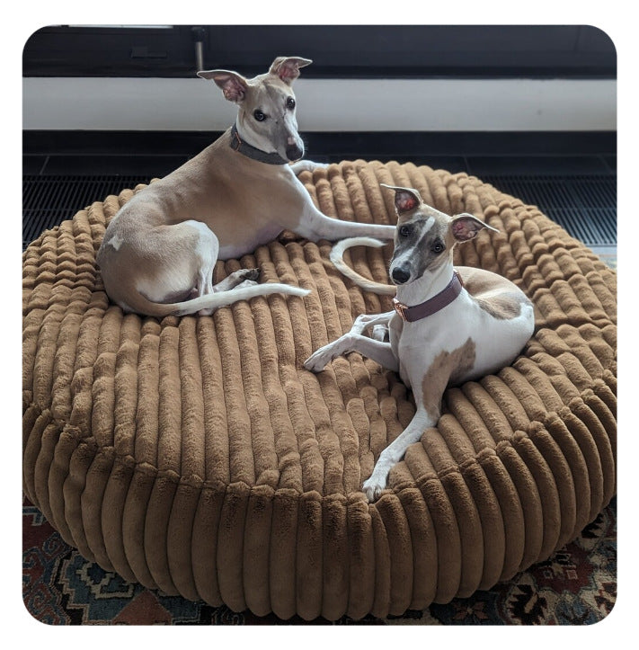 Circular Plush  Lounge  Dog Bed