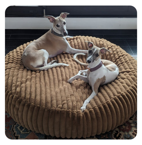 Circular Plush  Lounge  Dog Bed