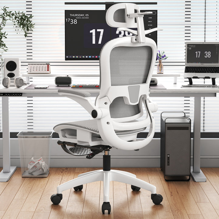Adjustable Lumbar Support Office Chair Bowlift