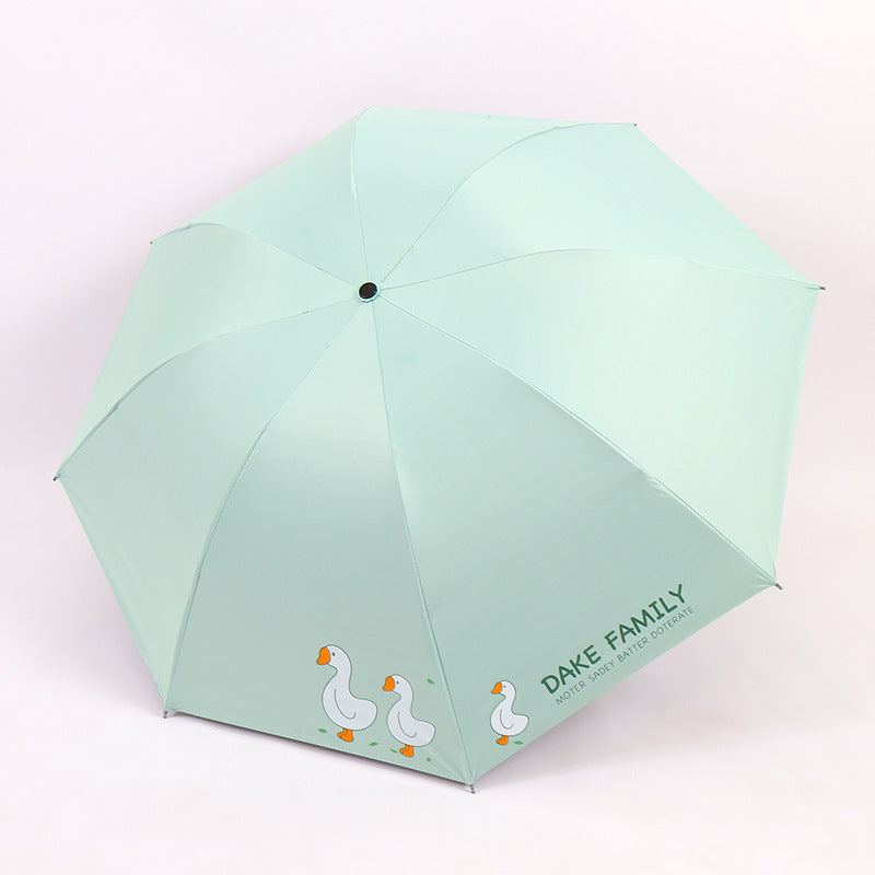 Ladies Umbrella Bowlift
