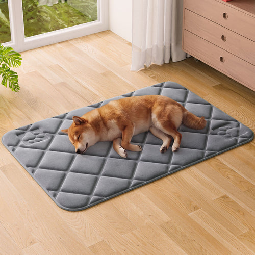 Cushioned Pet Comfort Mat Bowlift